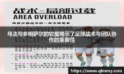 金年会体育