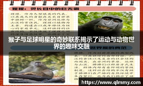 金年会金字招牌信誉至上